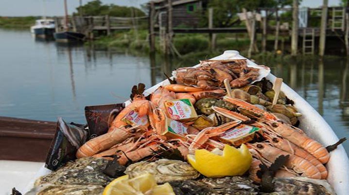 Le repas atypique plateau de fruits de mer